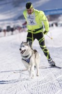 Lenk 2013